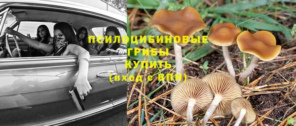 шишки Алексин