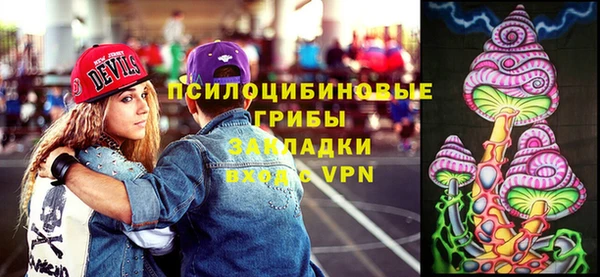 шишки Алексин
