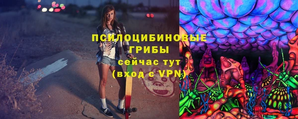 таблы Алексеевка