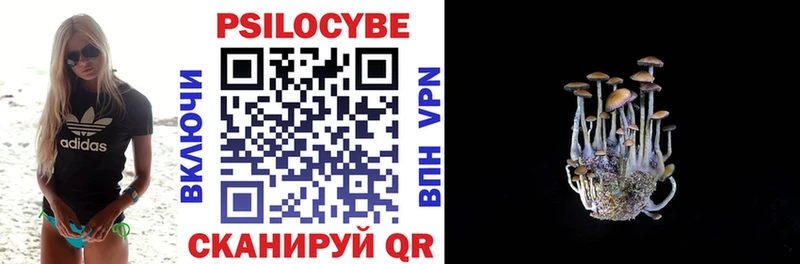 кракен как войти  Каневская  Галлюциногенные грибы GOLDEN TEACHER  цены  
